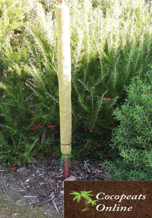 AussieSuperStore Homeware Supplies 3 feet Coco Poles for Creeper Plants (in 5 sizes) Coco Poles for Creeper Plants | Moss stick,Coir poles,Totem poles COPOCRPL3FT COPOCRPL3FT